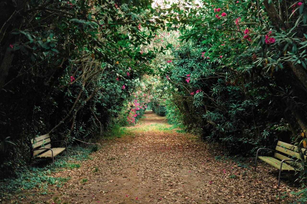Masseria Specchiulla オートラント エクステリア 写真