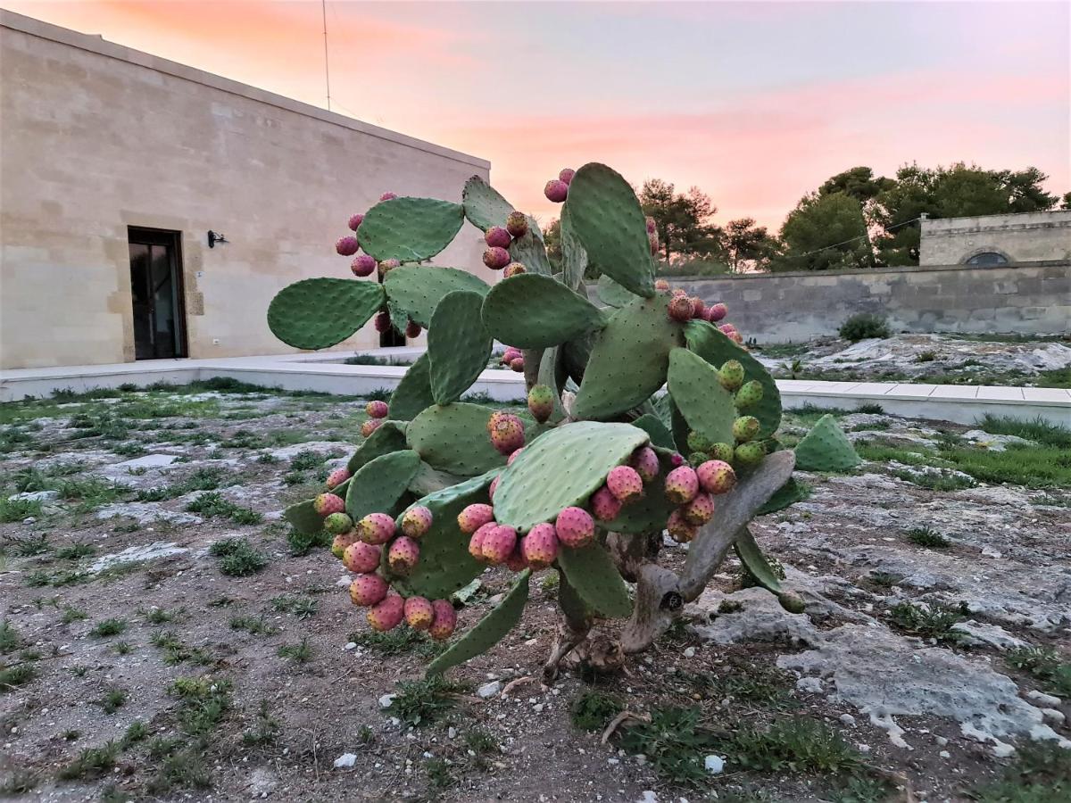 Masseria Specchiulla オートラント エクステリア 写真